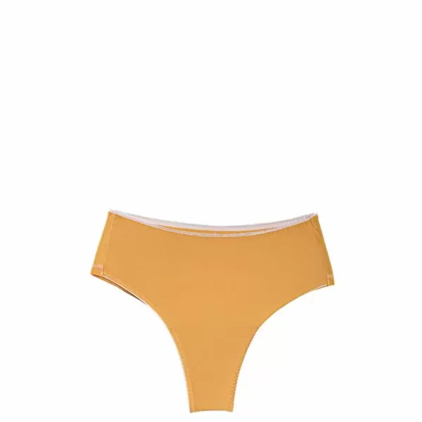 Clear brazilian with high waist Rosa
